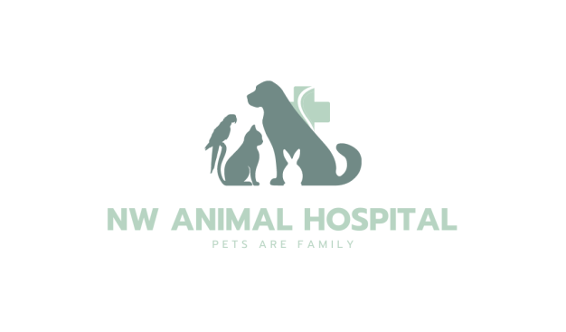 หางาน,สมัครงาน,งาน NW Animal hospital URGENTLY NEEDED JOBS