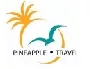 Pineapple Travel Limited