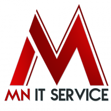 MN IT SERVICE