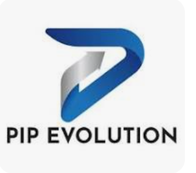บริษัท พิพ เอฟโวลู่ชั่น