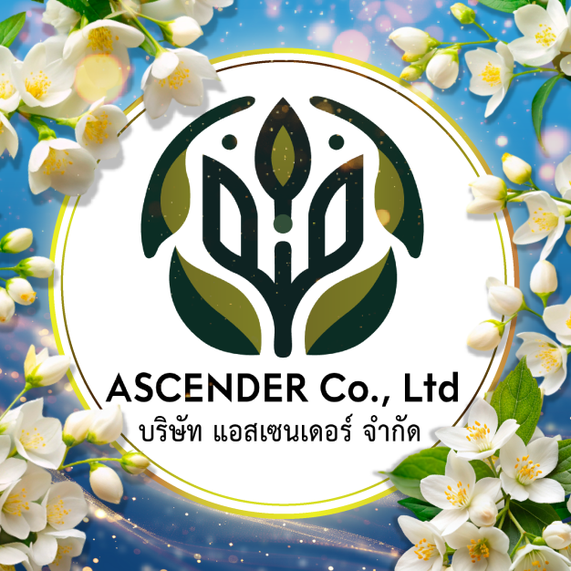 บริษัท แอสเซนเดอร์ จำกัด